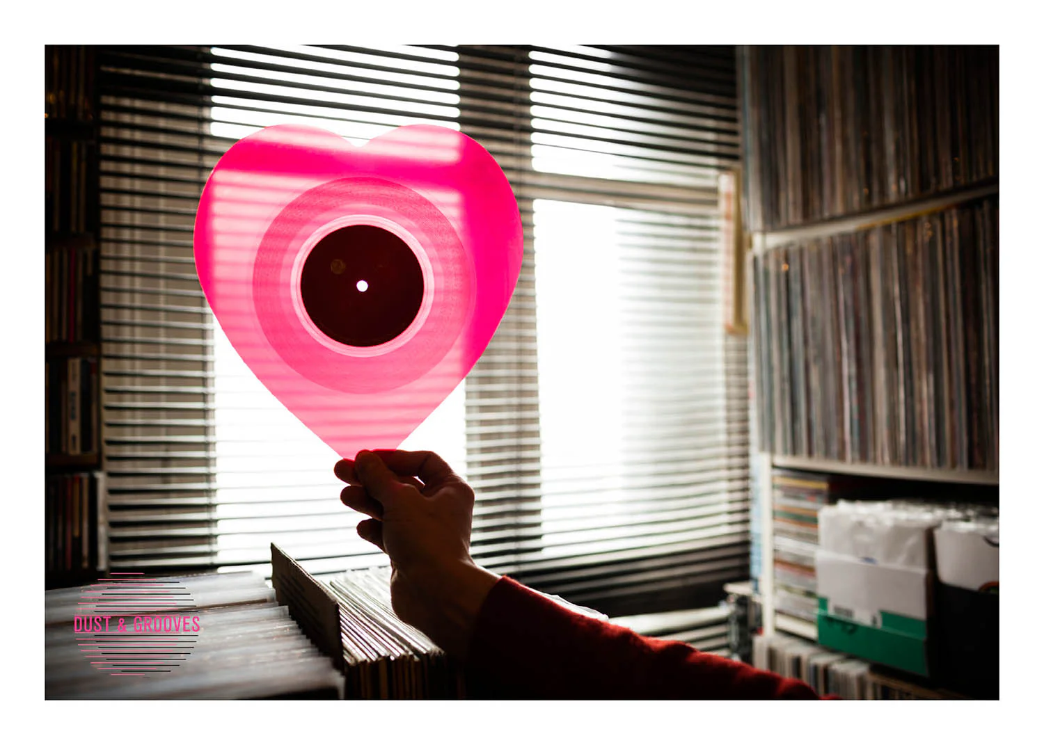 Dust & Grooves: Adventures in Record Collecting - Image 10