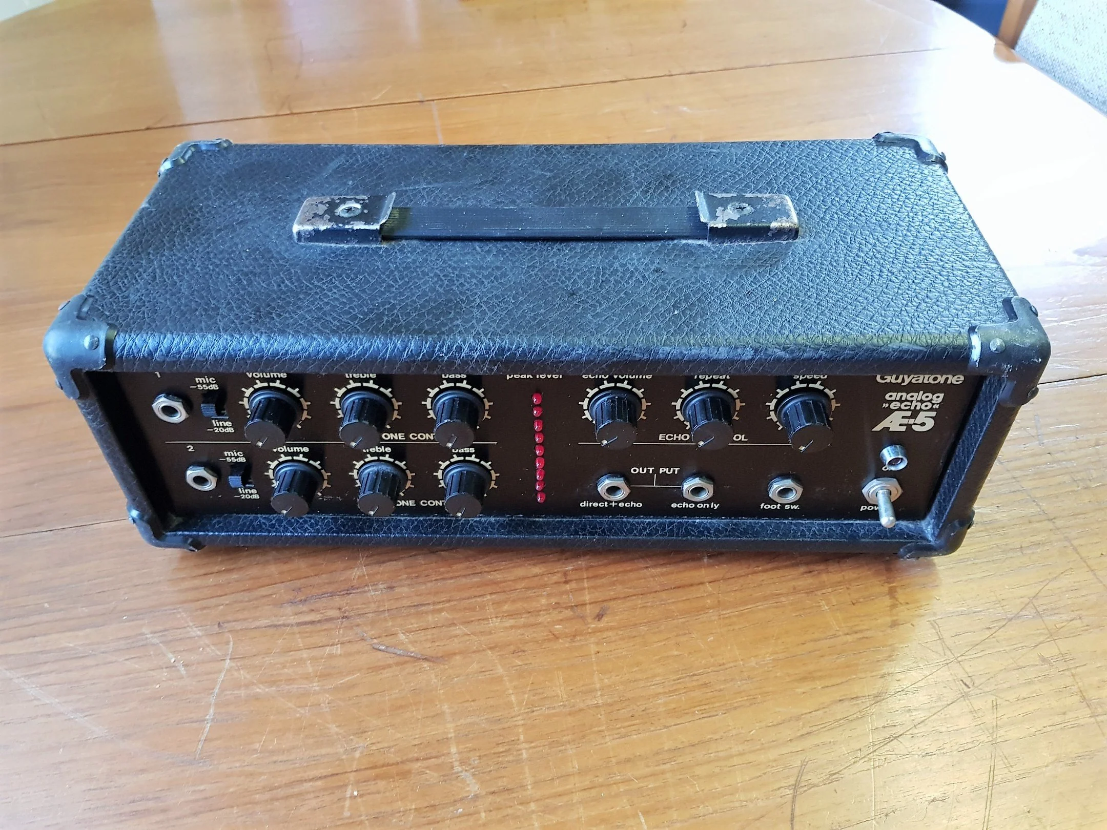 Guyatone AE-5 Analog Echo