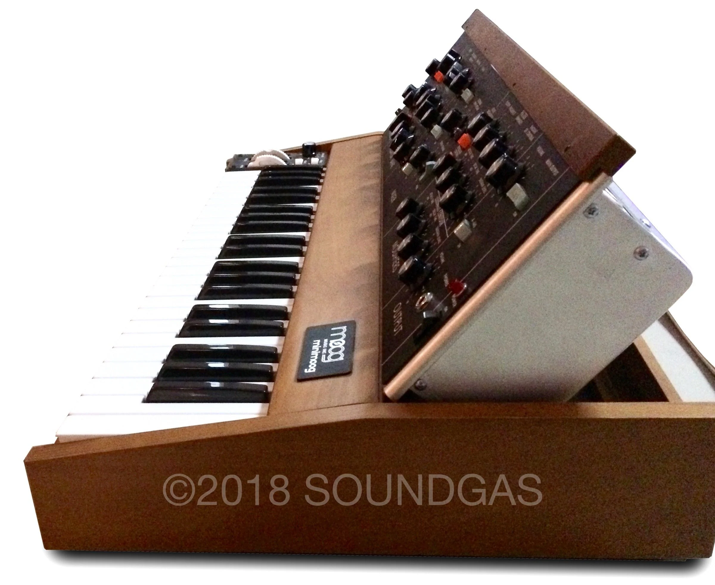 Moog MiniMoog Model D Reissue - Image 7
