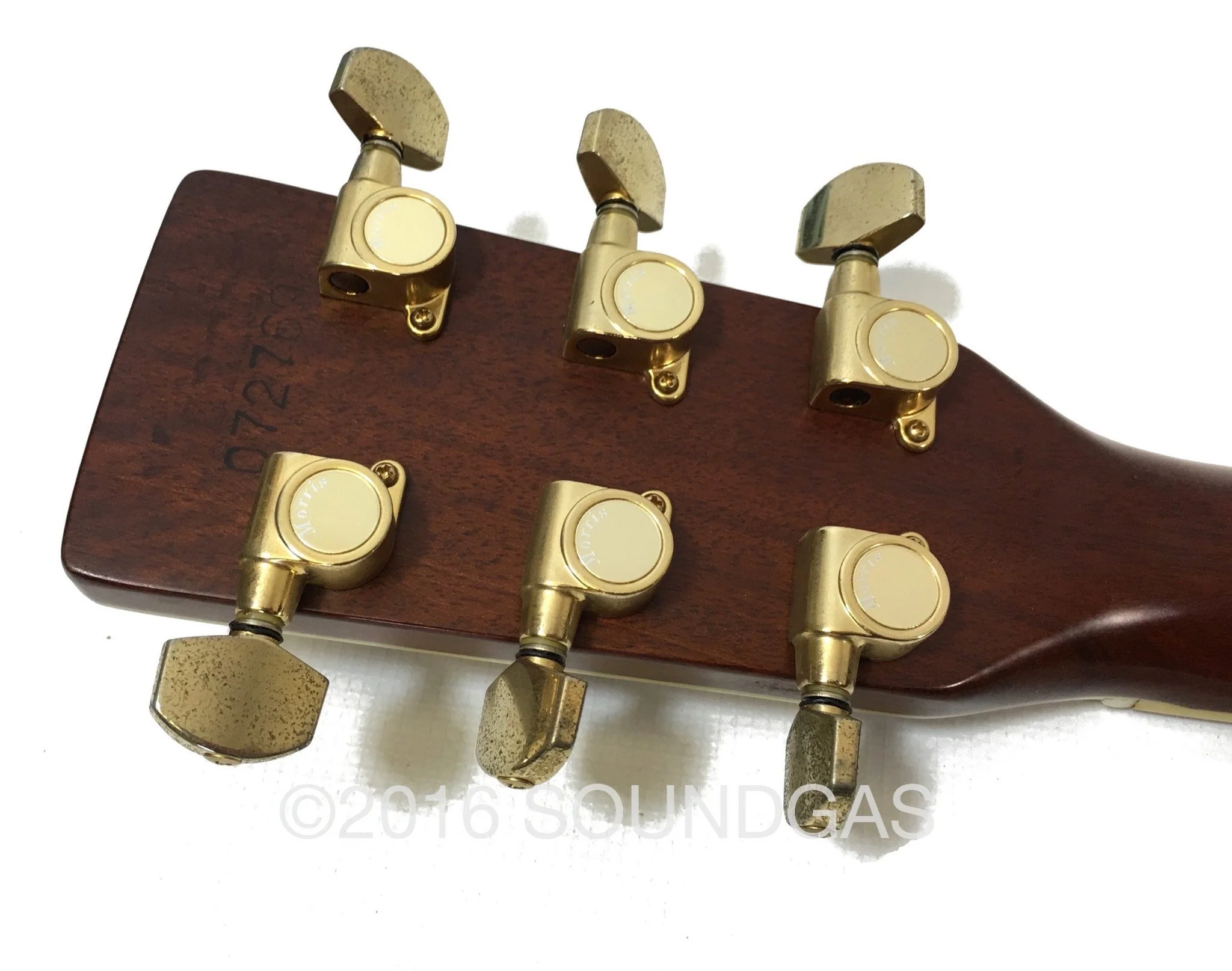 Morris W65M 'Tree Of Life' Acoustic Guitar - Image 8