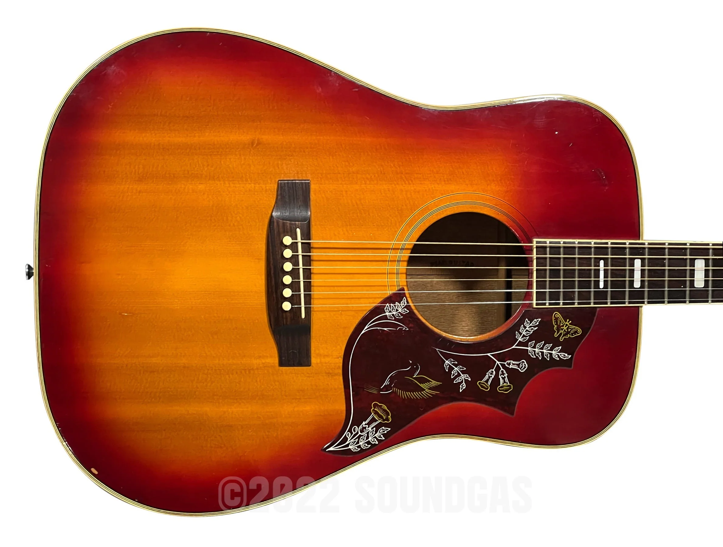 Pearl Hummingbird - Image 3