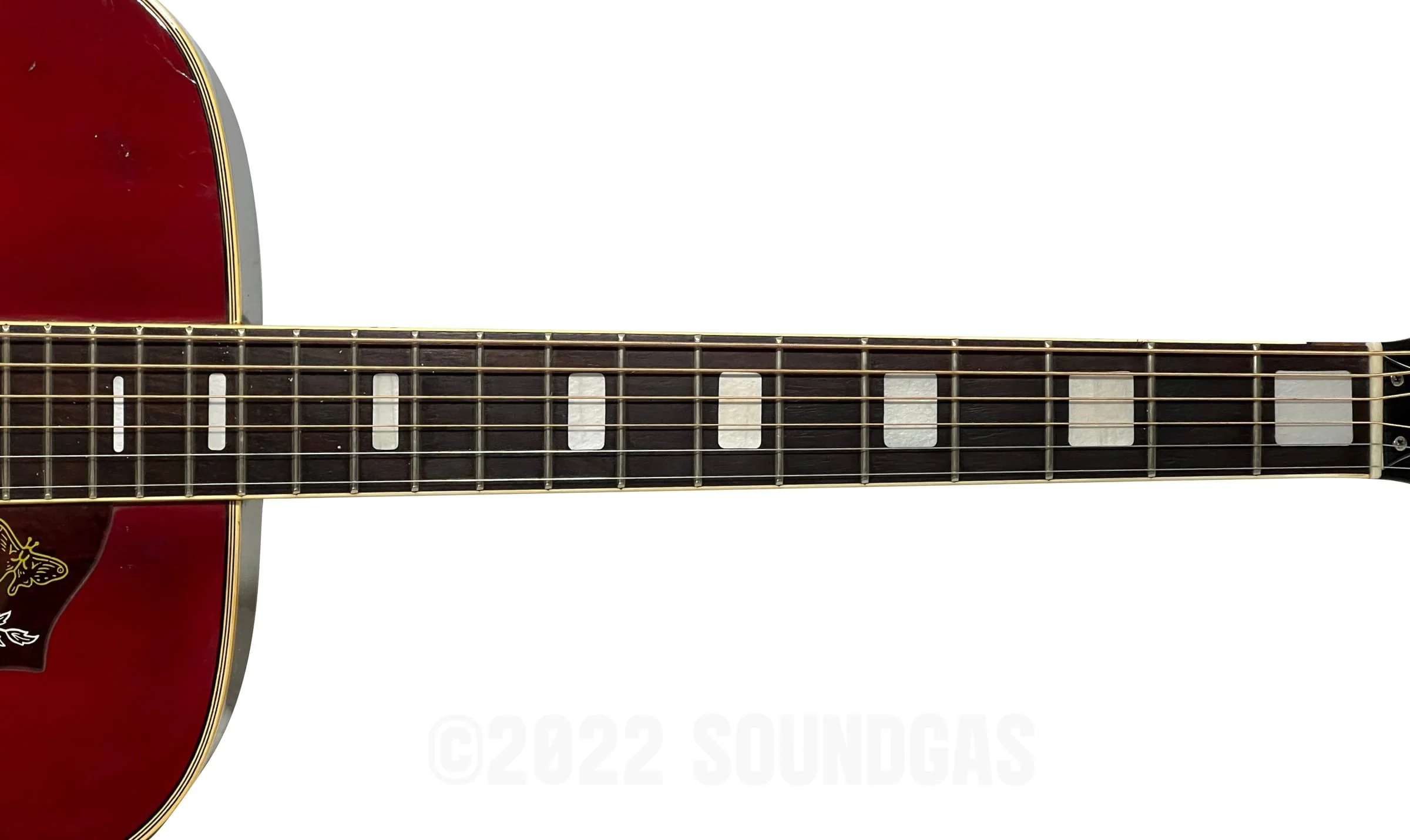 Pearl Hummingbird - Image 4