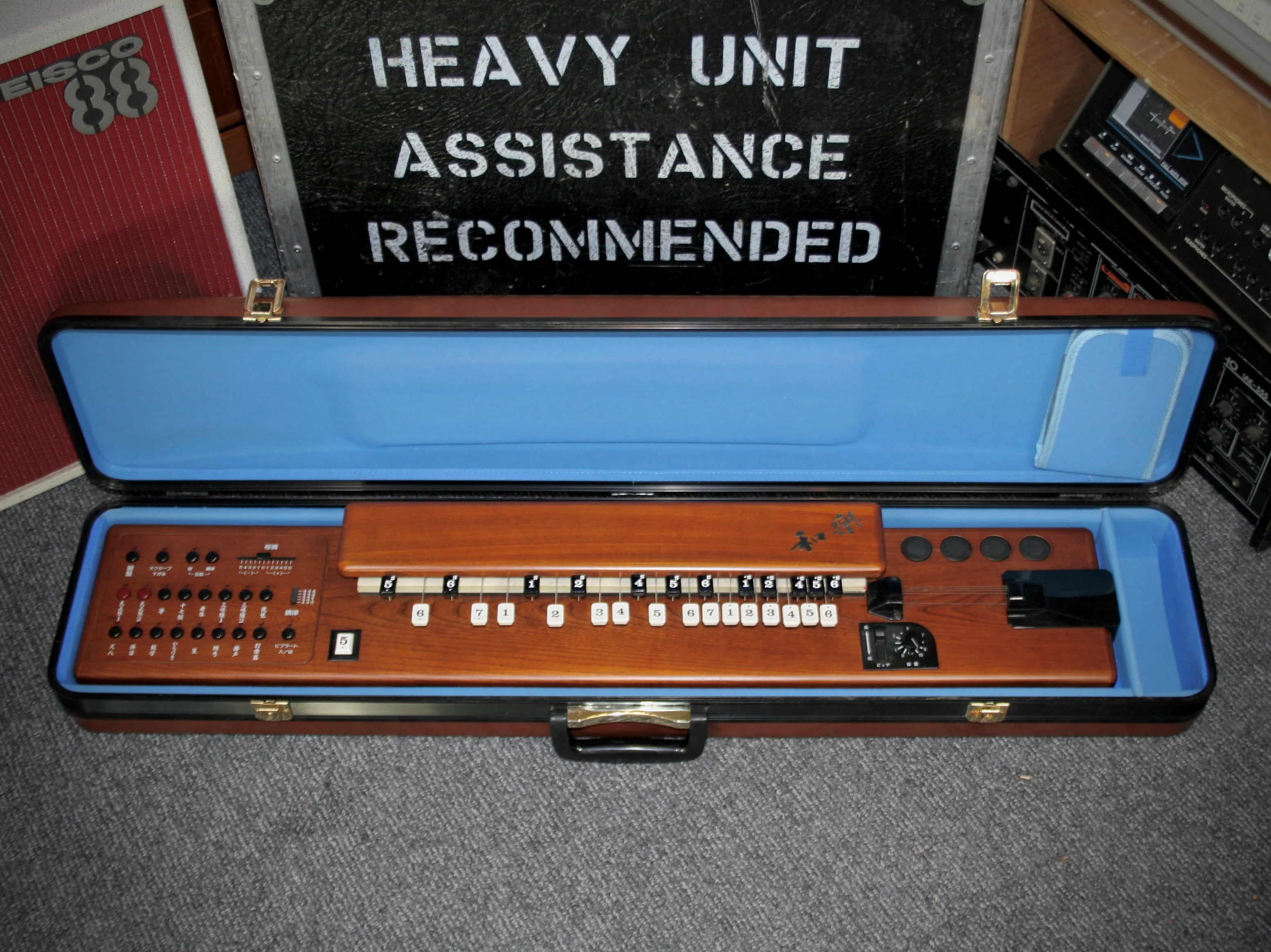 Suzuki TES-100 Waraku Koto Synth