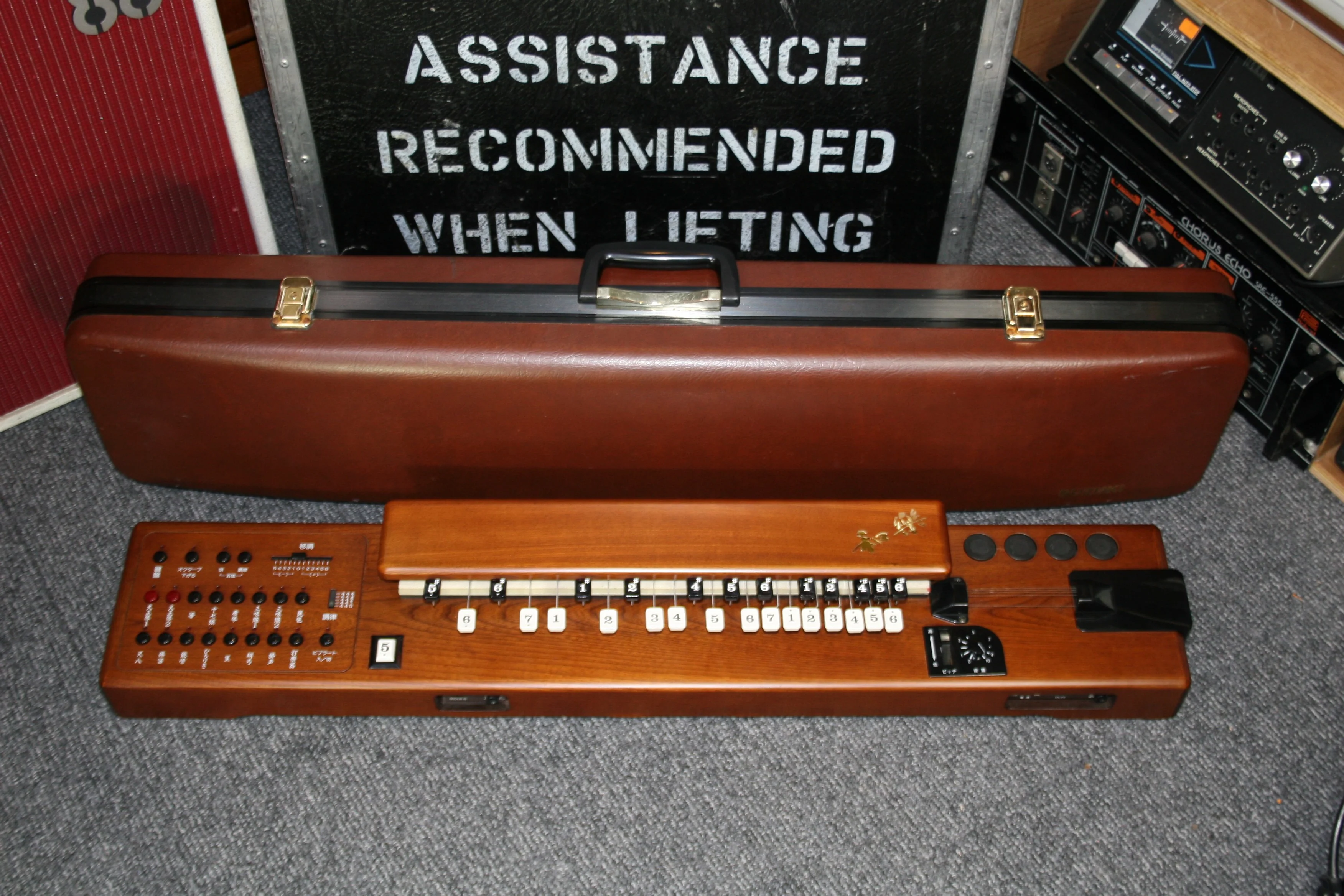 Suzuki TES-100 Waraku Koto Synth - Image 10