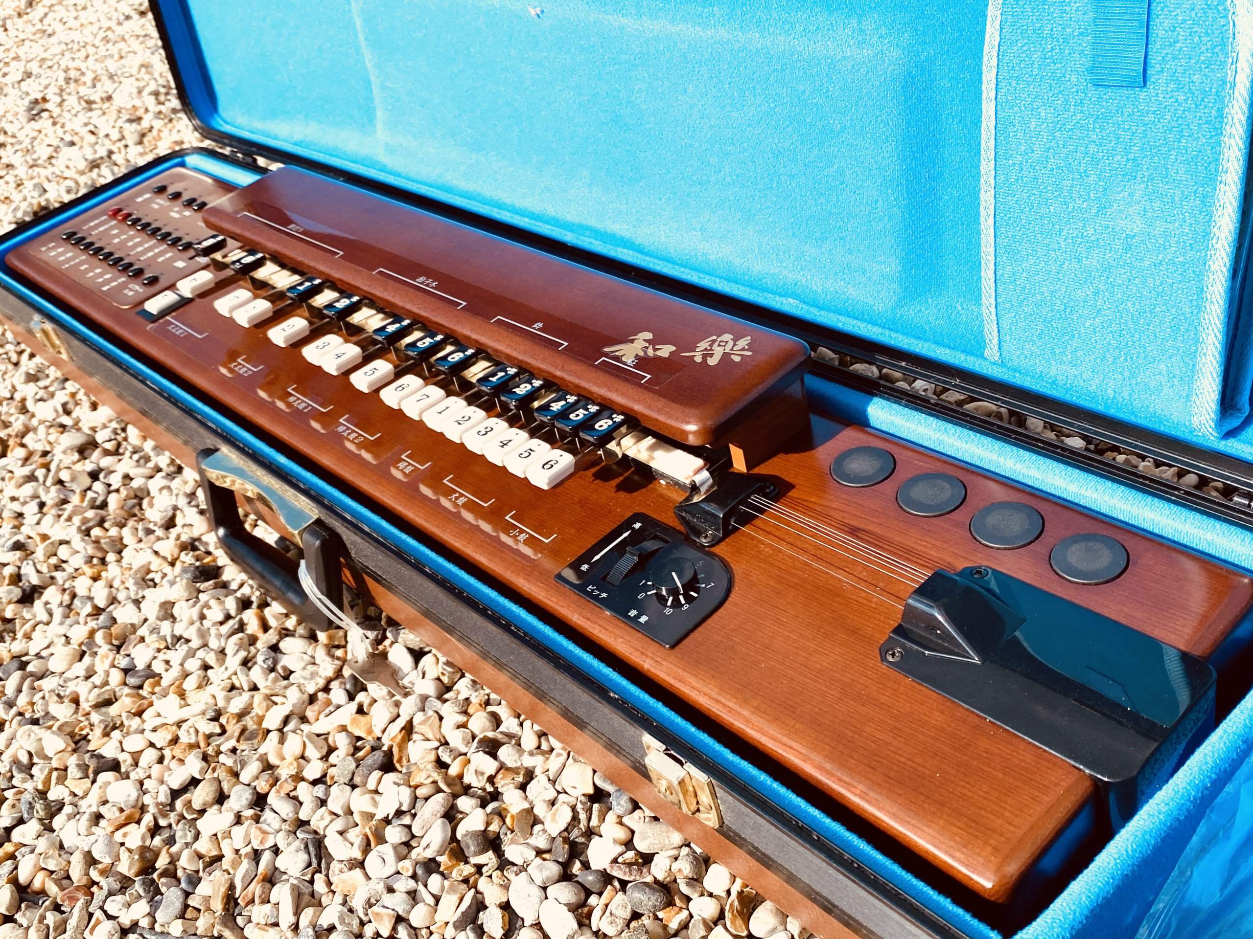 Suzuki TES-100 Waraku Koto Synth - Image 2