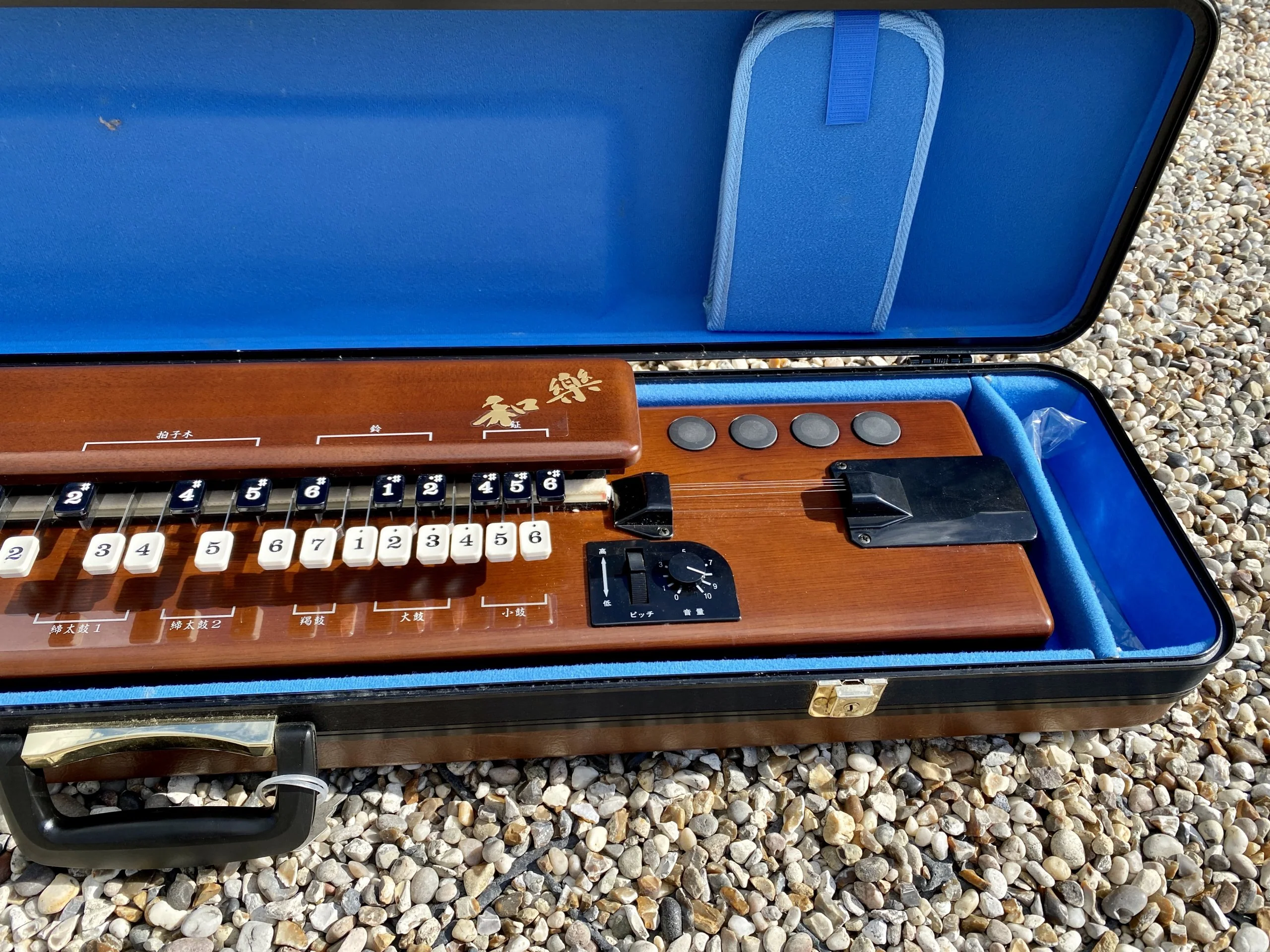 Suzuki TES-100 Waraku Koto Synth - Image 8