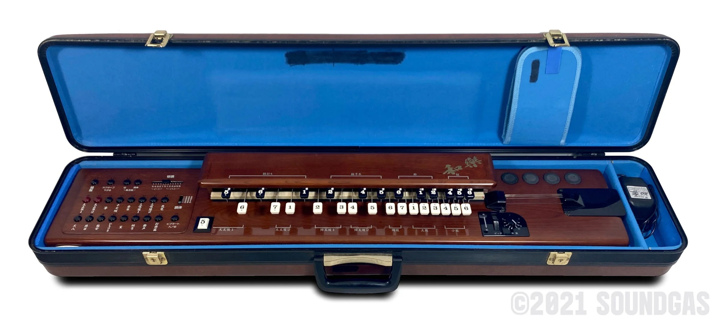 Suzuki TES-101 Waraku Koto Synth - Image 13