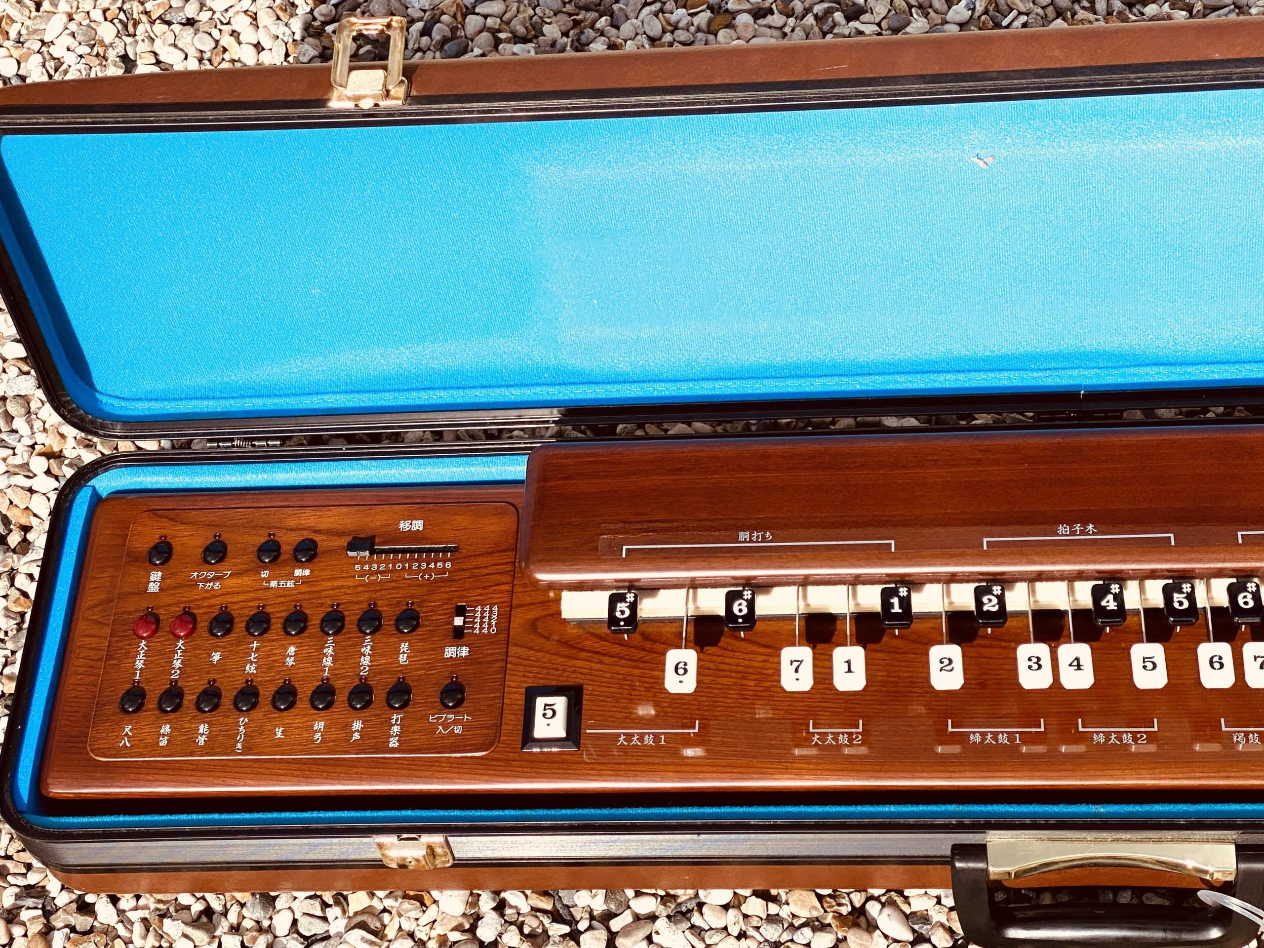 Suzuki TES-101 Waraku Koto Synth (Nr Mint) - Image 2