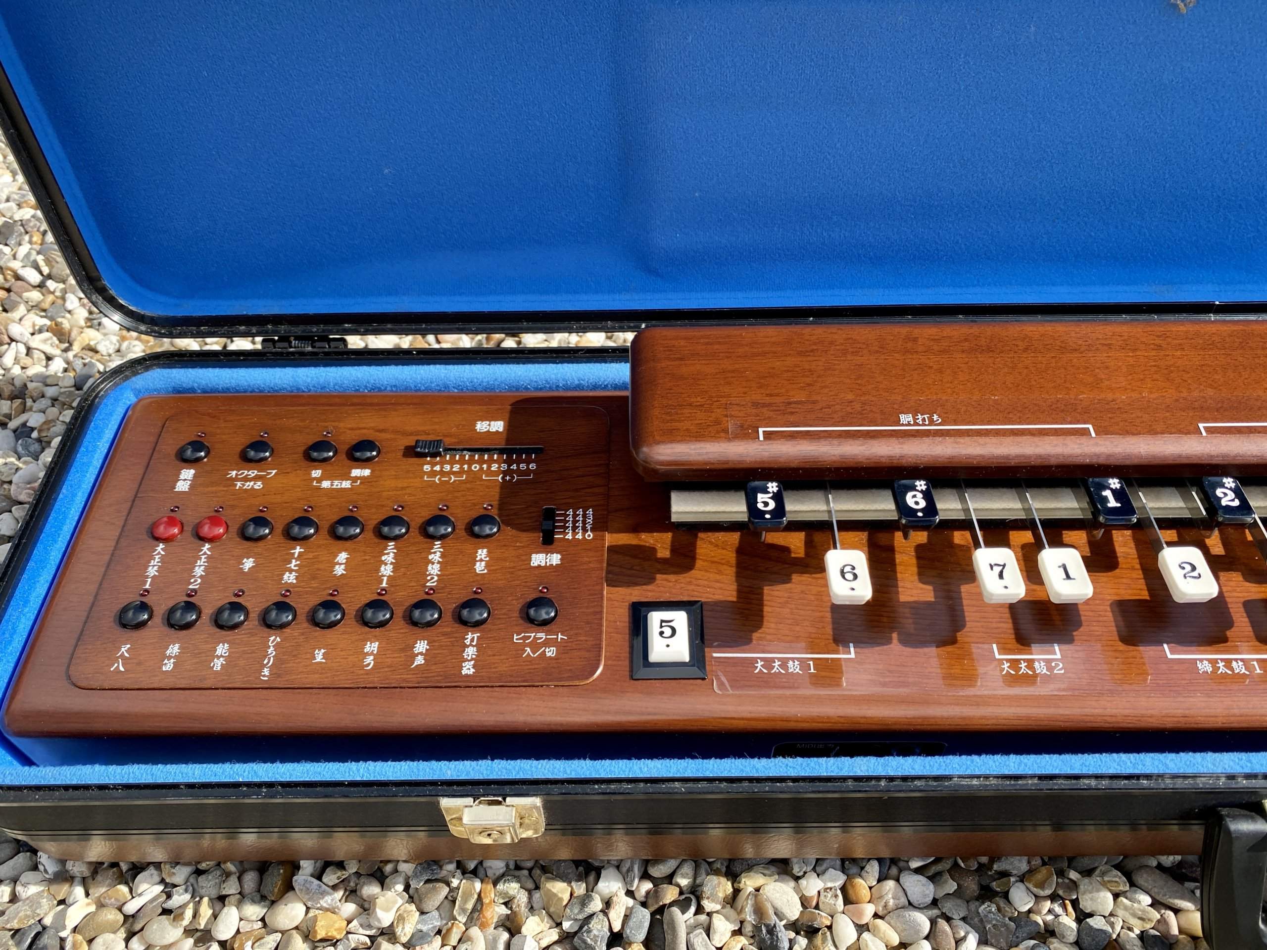 Suzuki TES-101 Waraku Koto Synth (Nr Mint) - Image 4