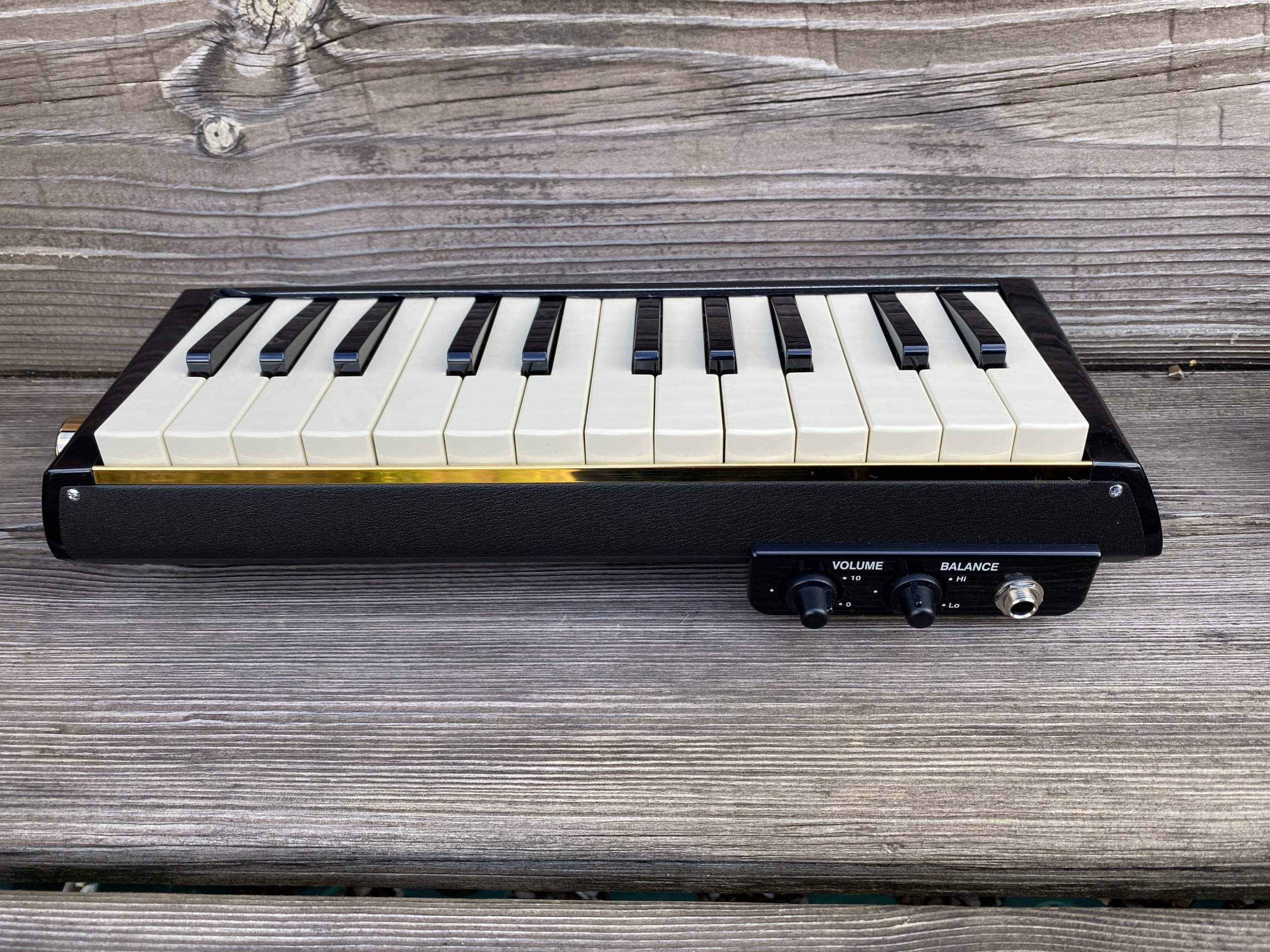 Toy Store: Hammond PRO-24B Amplified Bass Melodion/Melodica - Image 6