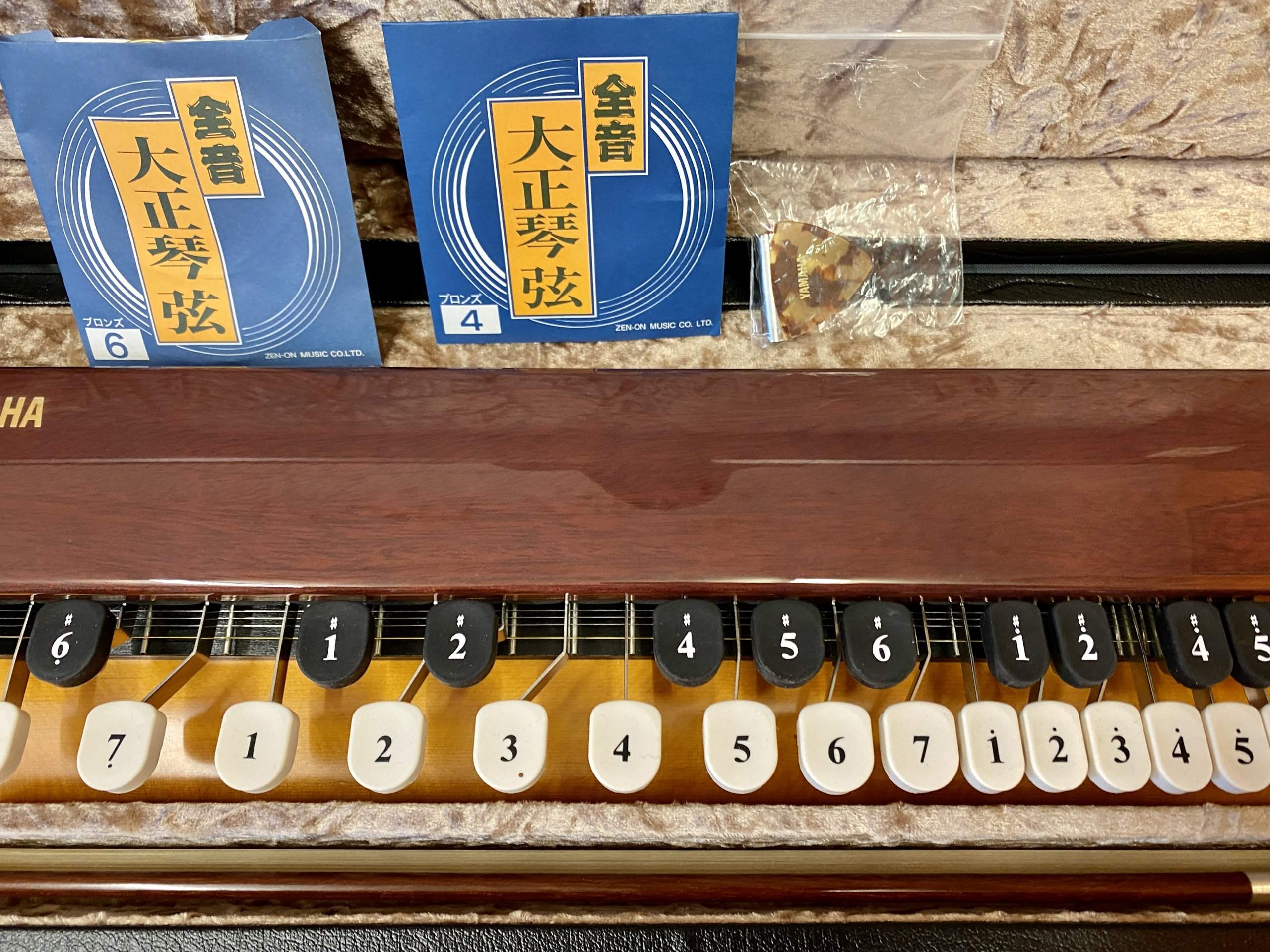 Yamaha SH-30NW Violyre Taishogoto - Image 9
